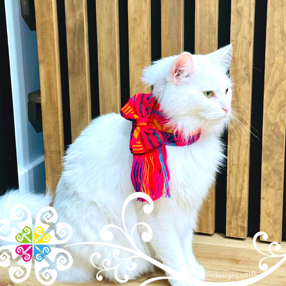 Fuchsia Cat Cambray Scarf - Pet Accessories